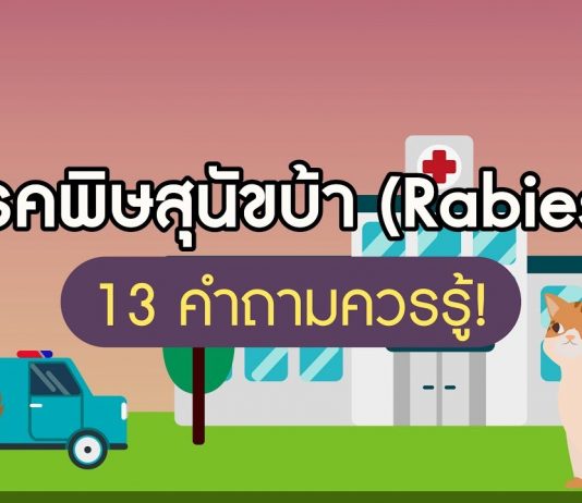 โรคพิษสุนัขบ้า (Rabies): 13 คำถามควรรู้!