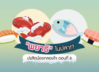 ปรสิตน้อยกลอยใจ ตอนที่ 6: “พยาธิ” ในปลา!?