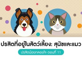 ปรสิตน้อยกลอยใจ ตอนที่ 11 ปรสิตที่อยู่ในสัตว์เลี้ยง: สุนัขและแมว