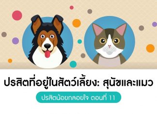 ปรสิตน้อยกลอยใจ ตอนที่ 11 ปรสิตที่อยู่ในสัตว์เลี้ยง: สุนัขและแมว