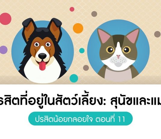 ปรสิตน้อยกลอยใจ ตอนที่ 11 ปรสิตที่อยู่ในสัตว์เลี้ยง: สุนัขและแมว